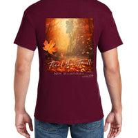 Feel The Fall Old Man of the Mountain T-shirt